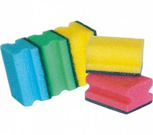 Двустранна домакинска гъба